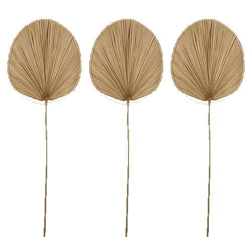 Feuille décorative en feuille de palmier