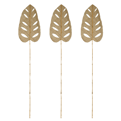 Feuille décorative en feuille de Pandanus